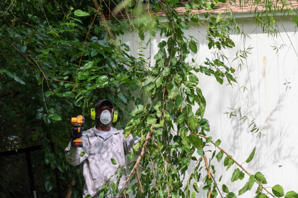 Best Commercial Tree Services  in Westvale, NY