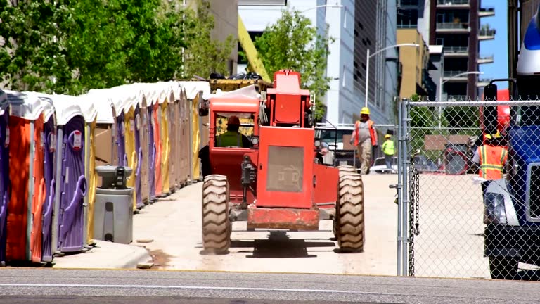 How Our Tree Care Process Works  in  Westvale, NY